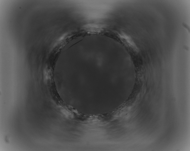 X0000098041445200804251028