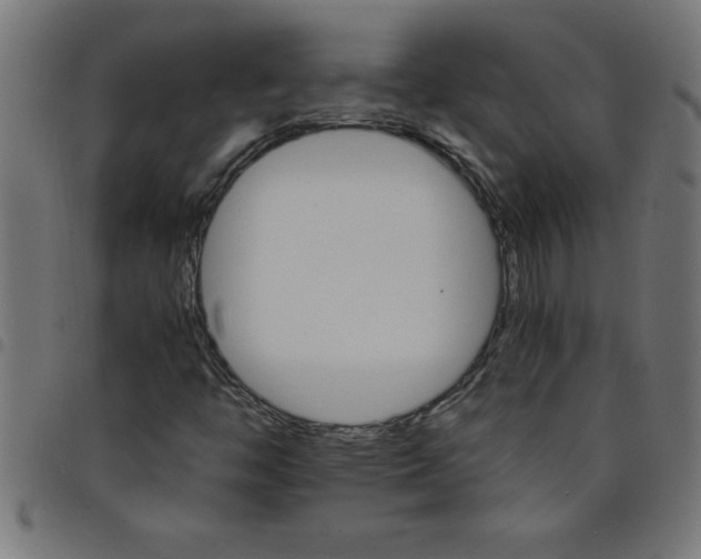 X0000098041446200804251028