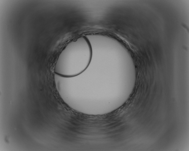 X0000098041447200804251028