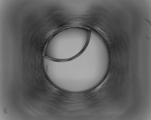 X0000098041449200804251028