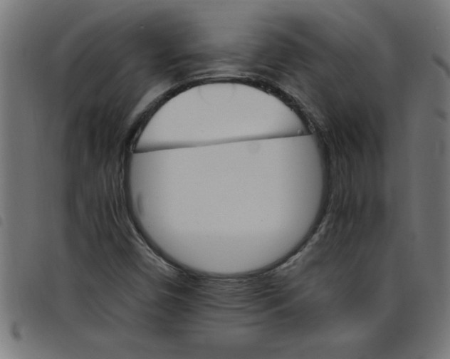 X0000098041450200804251028