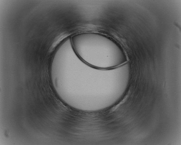 X0000098041453200804251028