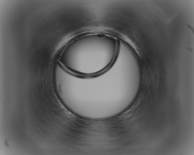 X0000098041456200804251028