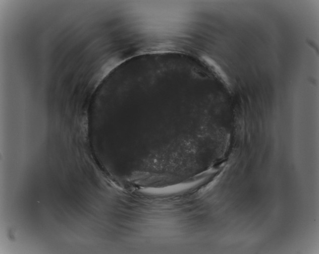 X0000098041457200804251028