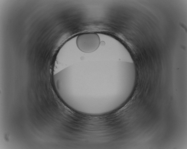 X0000098041459200804251028