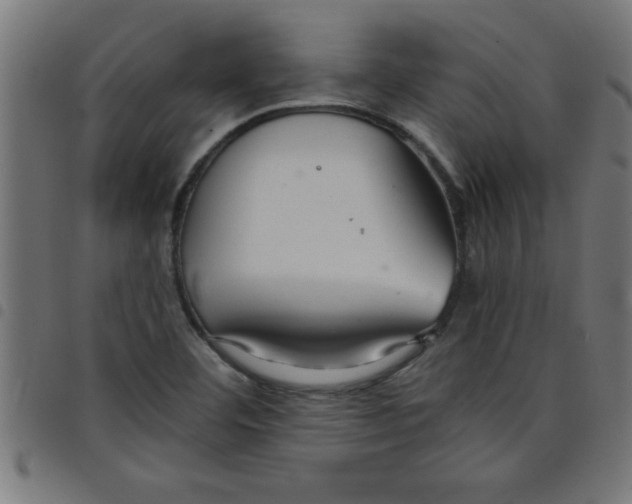 X0000098041460200804251028