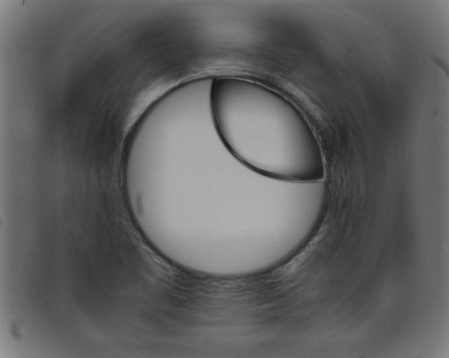 X0000098041461200804251028