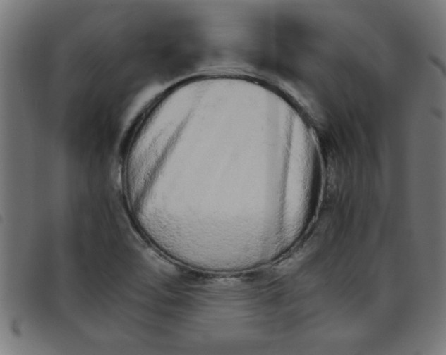 X0000098041462200804251028