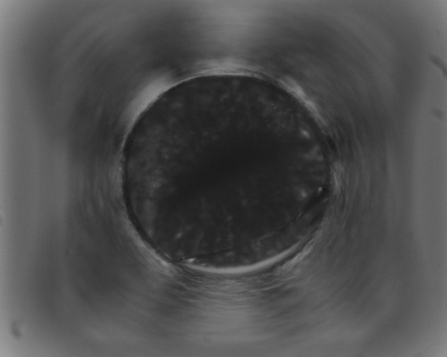 X0000098041463200804251028