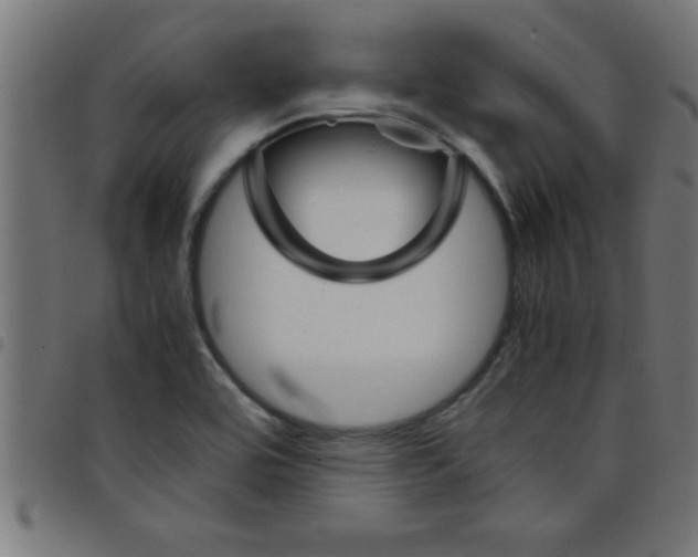 X0000098041464200804251028