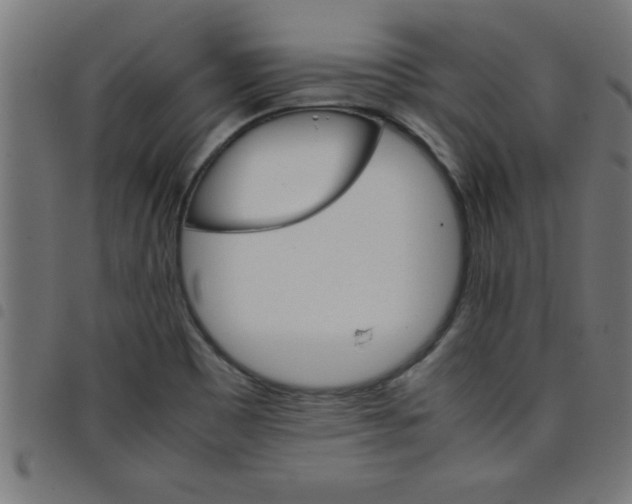 X0000098041465200804251028