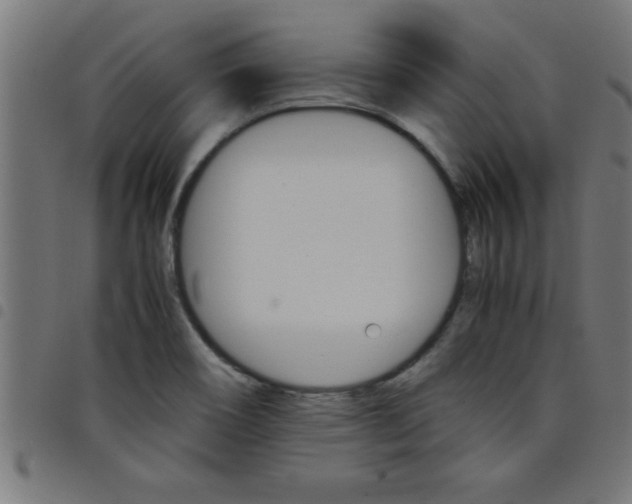 X0000098041466200804251028