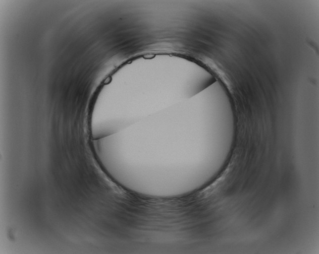 X0000098041469200804251027