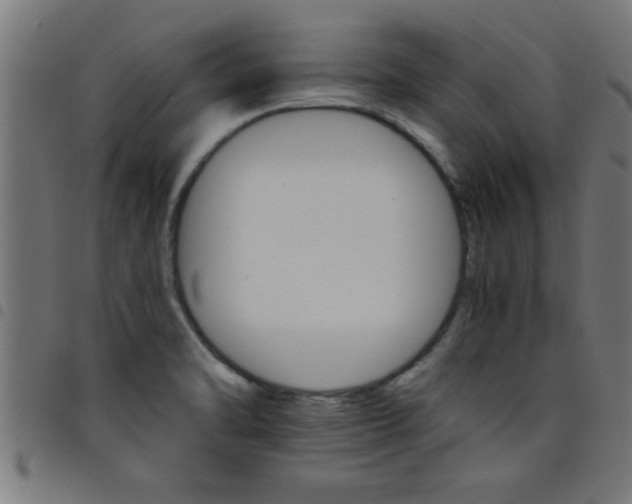 X0000098041470200804251027