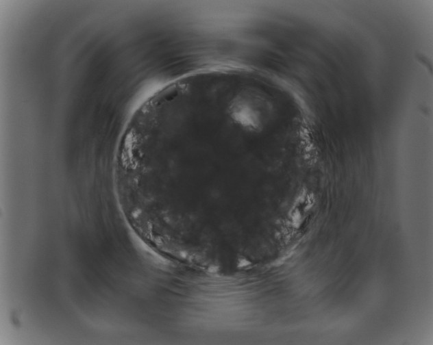 X0000098041471200804251027