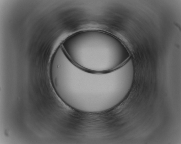 X0000098041472200804251027