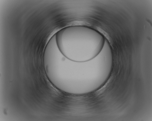 X0000098041473200804251027