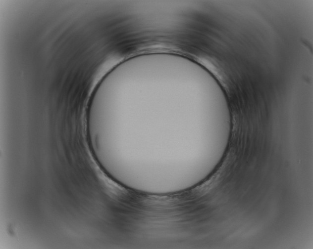 X0000098041474200804251027