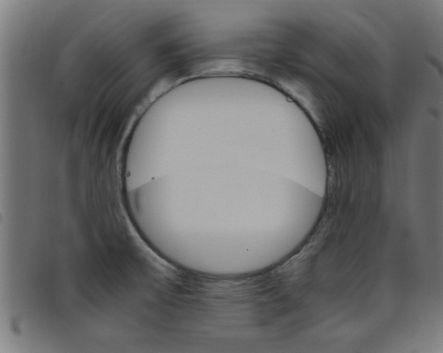 X0000098041475200804251027