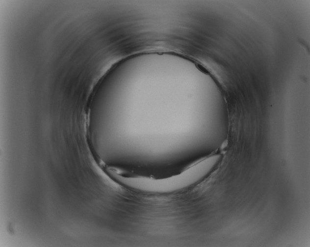 X0000098041476200804251027