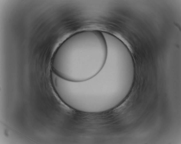 X0000098041477200804251027