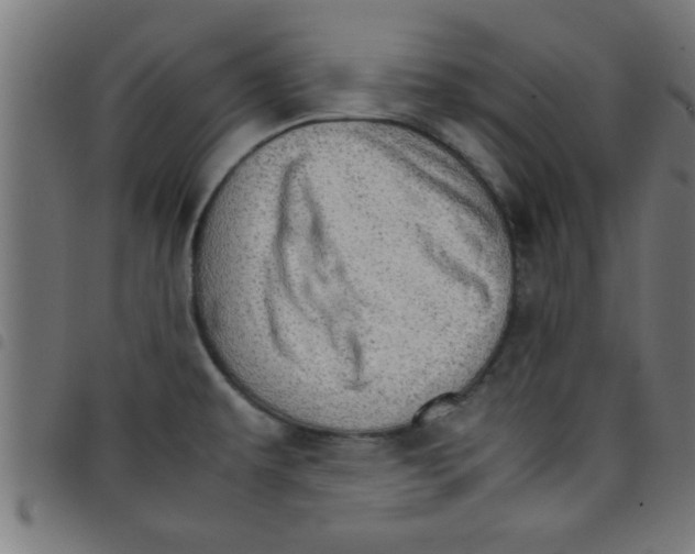 X0000098041479200804251027