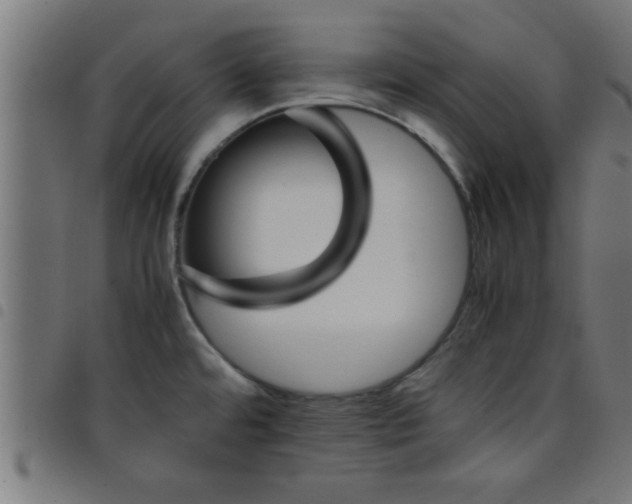 X0000098041480200804251027