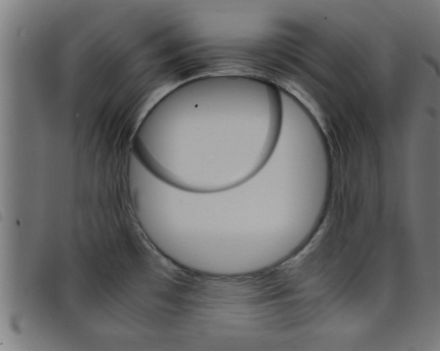 X0000098041481200804251027