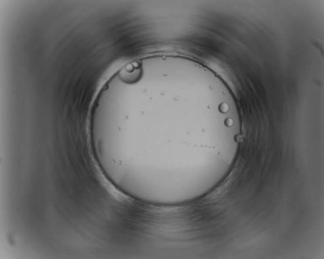 X0000098041482200804251027