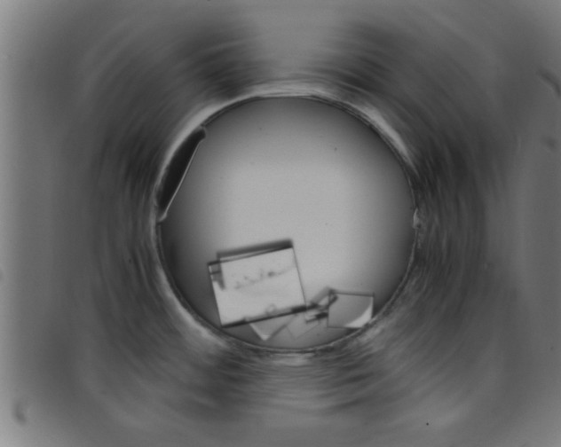 X0000098041484200804251027