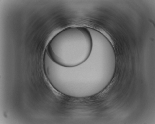 X0000098041485200804251027