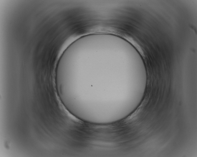 X0000098041486200804251027