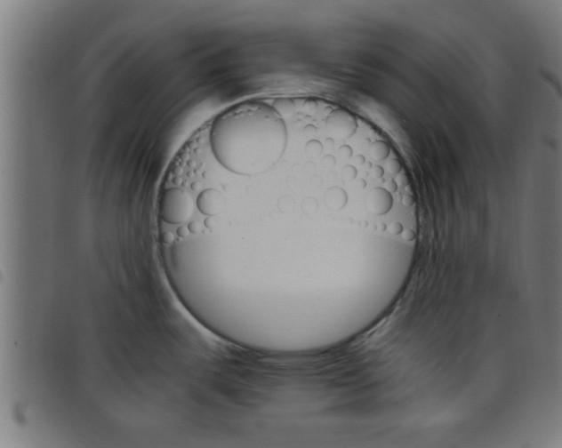 X0000098041487200804251027