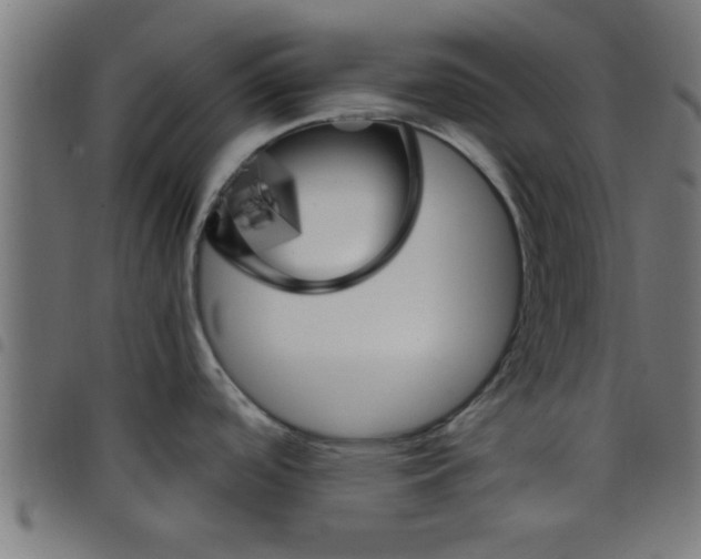 X0000098041488200804251027