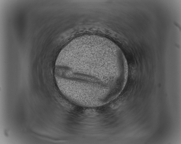 X0000098041489200804251026