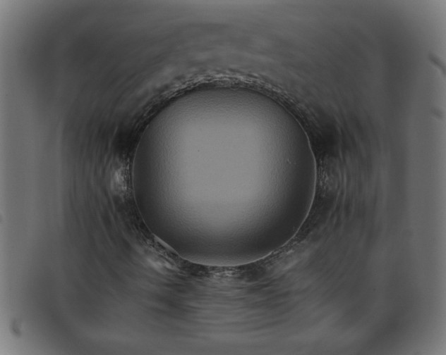 X0000098041490200804251026