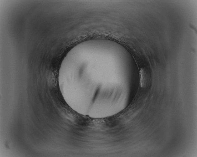 X0000098041491200804251026