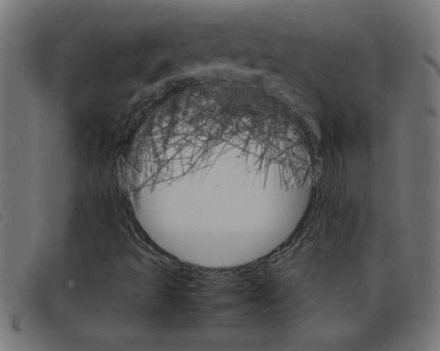 X0000098041493200804251026