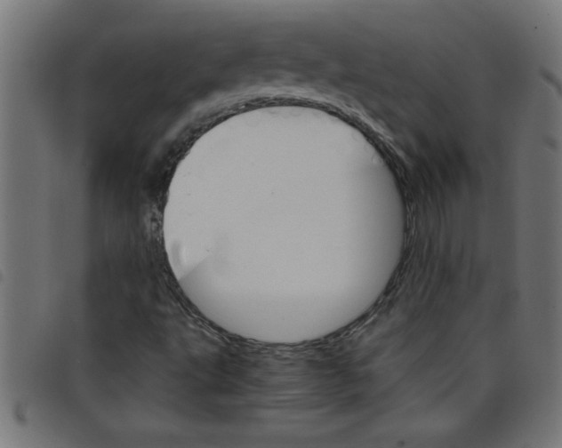 X0000098041495200804251026