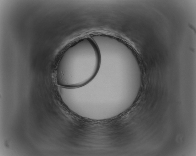 X0000098041496200804251026