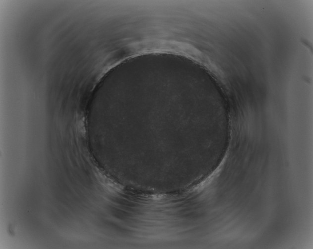 X0000098041497200804251026