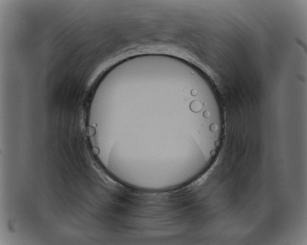 X0000098041498200804251026