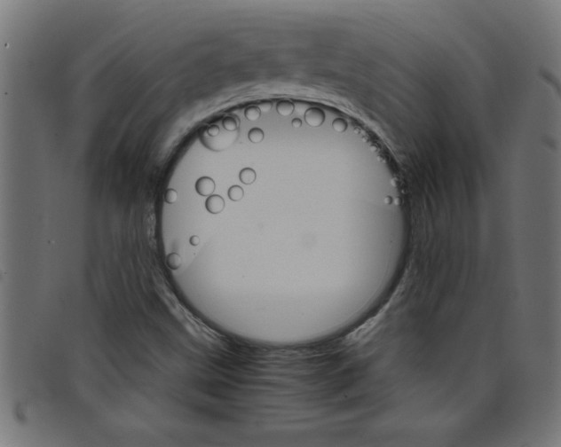 X0000098041499200804251027