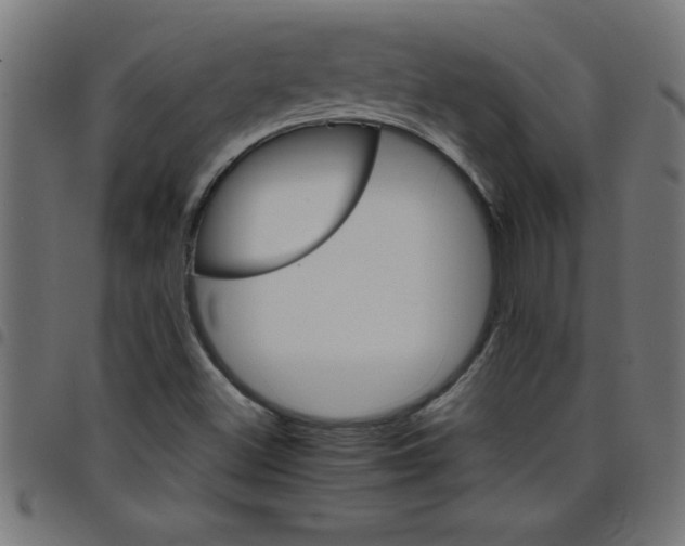 X0000098041500200804251027