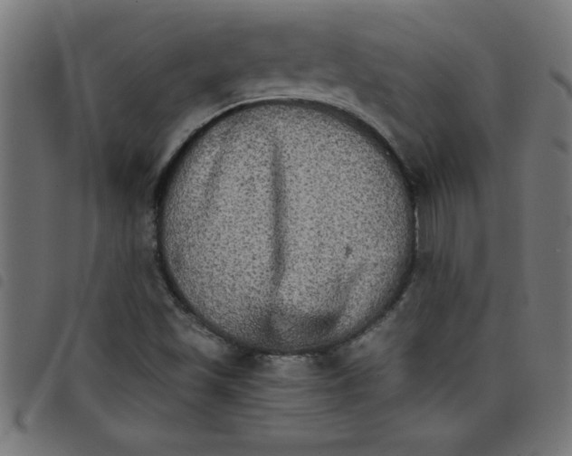 X0000098041501200804251027