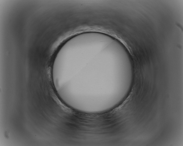 X0000098041503200804251027