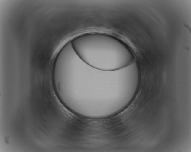 X0000098041504200804251027