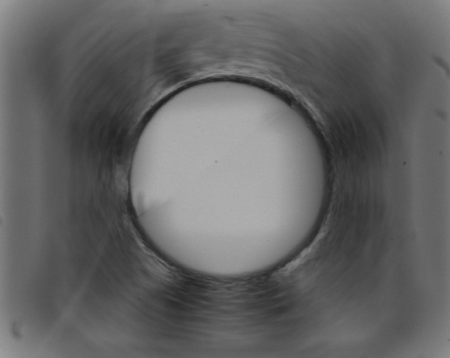 X0000098041505200804251027