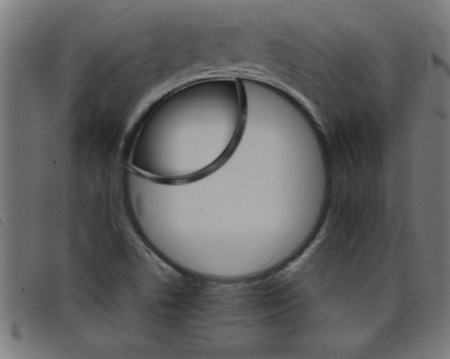 X0000098041506200804251027