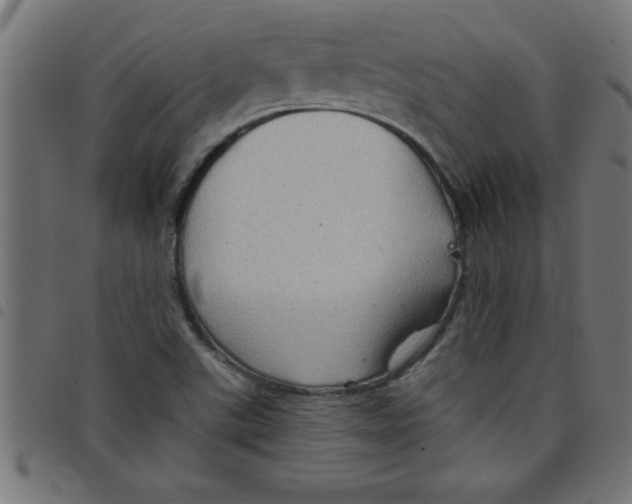 X0000098041507200804251027